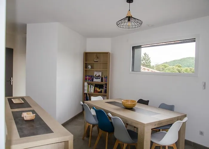 Du Chêne Proche De La Nature